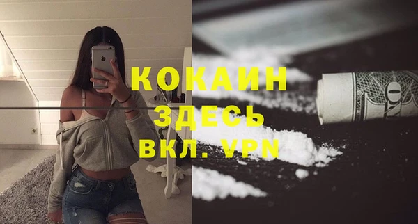 прущие грибы Абаза