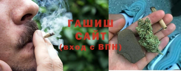 прущие грибы Абаза