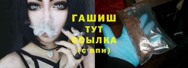 прущие грибы Абаза