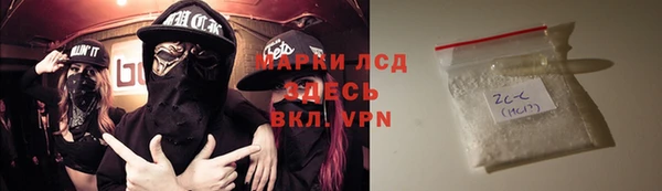 прущие грибы Абаза