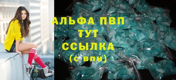 прущие грибы Абаза