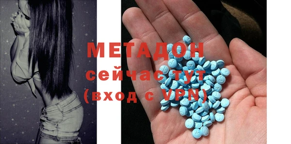 прущие грибы Абаза