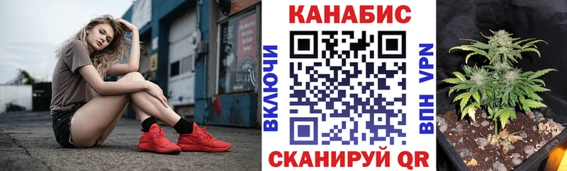 Шишки марихуана OG Kush Ялта